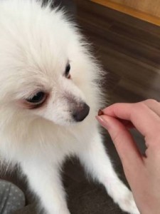変化なし