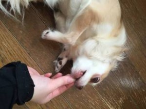 オシッコがよくなった