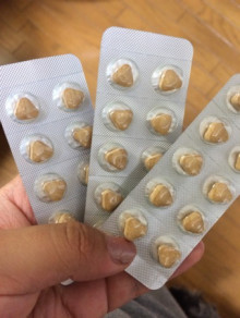 ペット用キングアガリクス100中身
