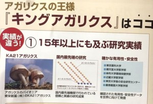 パンフレット
