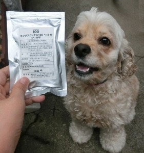 キングアガリクス　犬