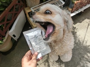 キングアガリクス　犬　飼い主様