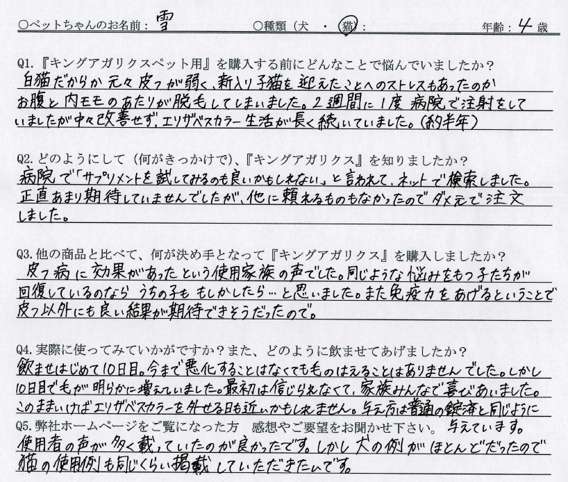 お客様の声