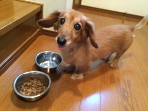 こぐまのママ②