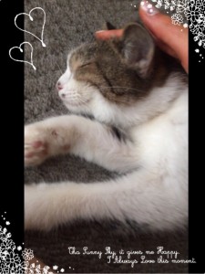 スラりん