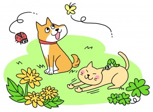 犬、猫春