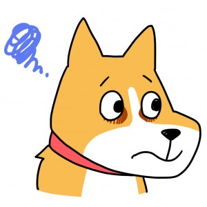 犬の涙やけ