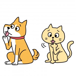 犬、猫　指間炎
