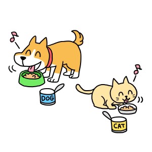 犬、猫食事