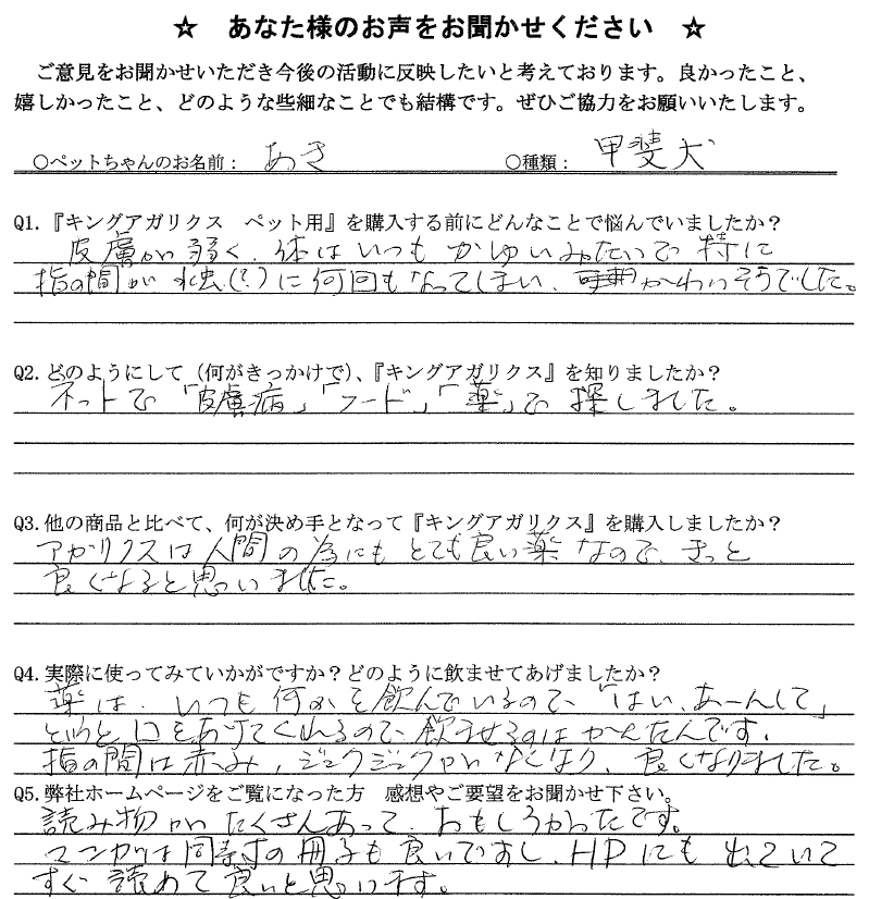 アンケート