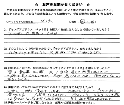 アンケート