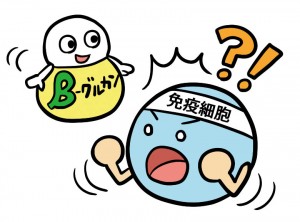 β－グルカンと免疫細胞